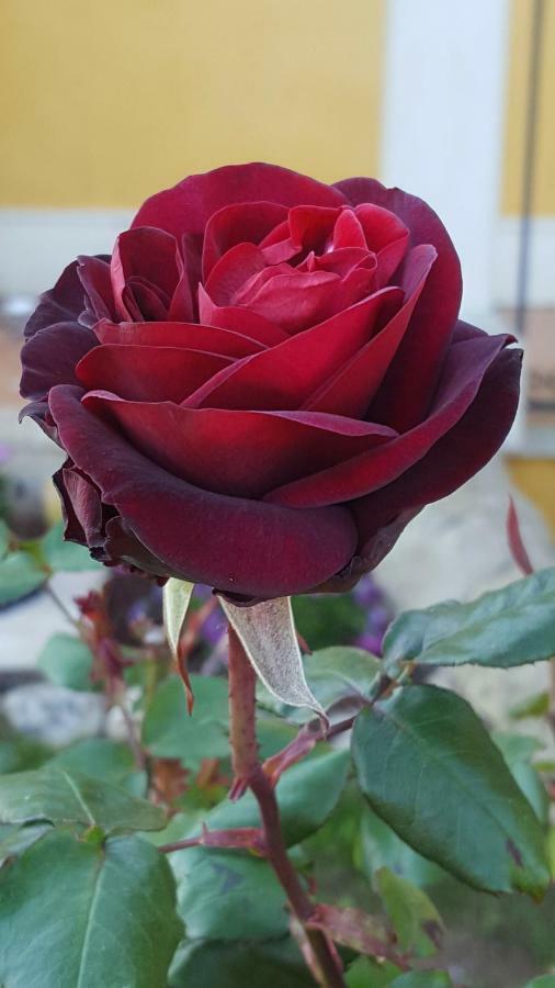 Вилла Le Rose Di Модика Экстерьер фото